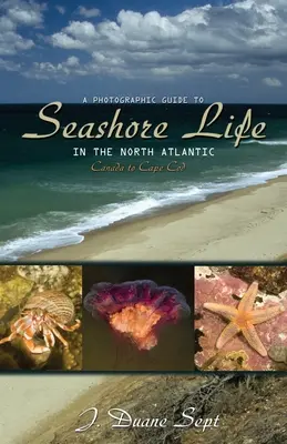 Ein fotografischer Führer zum Leben am Meer im Nordatlantik: Kanada bis Cape Cod - A Photographic Guide to Seashore Life in the North Atlantic: Canada to Cape Cod