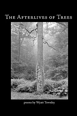 Das Nachleben von Bäumen - The Afterlives of Trees