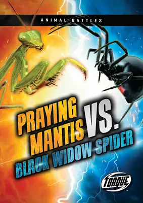 Gottesanbeterin vs. Schwarze Witwenspinne - Praying Mantis vs. Black Widow Spider