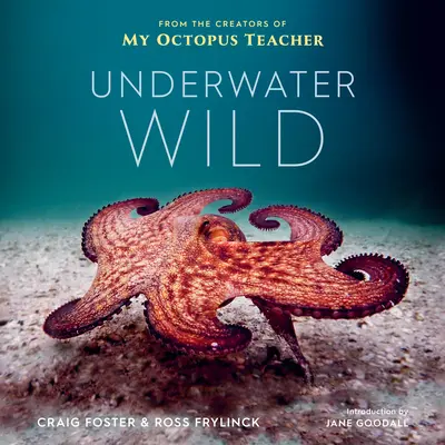 Wild unter Wasser: Die außergewöhnliche Welt meines Oktopus-Lehrers - Underwater Wild: My Octopus Teacher's Extraordinary World
