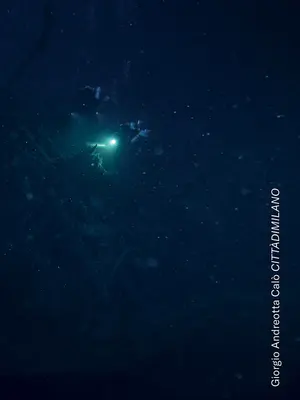 Giorgio Andreotta Cal Cittdimilano