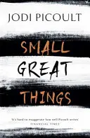 Small Great Things - Der Bestseller-Roman, den Sie nicht verpassen sollten - Small Great Things - The bestselling novel you won't want to miss