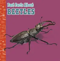 Schnelle Fakten über Käfer - Fast Facts About Beetles
