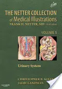Die Netter-Sammlung medizinischer Illustrationen: Urinäres System, 5: Band 5 - The Netter Collection of Medical Illustrations: Urinary System, 5: Volume 5