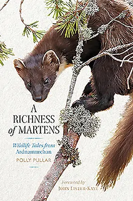 Ein Reichtum an Mardern: Wildtiergeschichten aus den Highlands - A Richness of Martens: Wildlife Tales from the Highlands