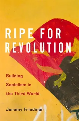 Reif für die Revolution: Der Aufbau des Sozialismus in der Dritten Welt - Ripe for Revolution: Building Socialism in the Third World