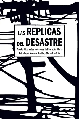 Las Rplicas del Desastre: Puerto Rico vor und nach dem Huracn Mara - Las Rplicas del Desastre: Puerto Rico Antes Y Despus del Huracn Mara