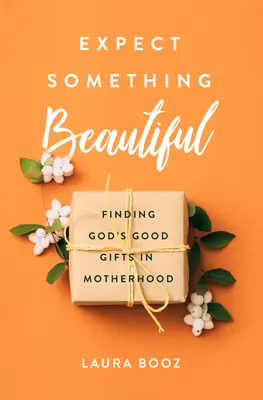 Erwarte etwas Schönes: Gottes gute Gaben in der Mutterschaft finden - Expect Something Beautiful: Finding God's Good Gifts in Motherhood