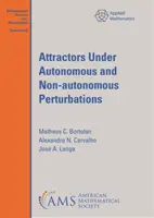 Attraktoren unter autonomen und nicht-autonomen Störeinflüssen - Attractors Under Autonomous and Non-autonomous Perturbations