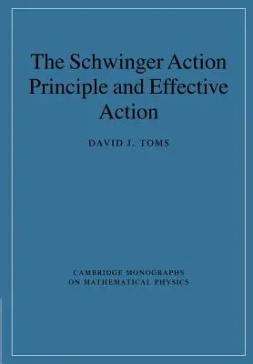 Das Schwingersche Handlungsprinzip und effektives Handeln - The Schwinger Action Principle and Effective Action