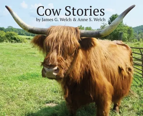 Kuh-Geschichten - Cow Stories