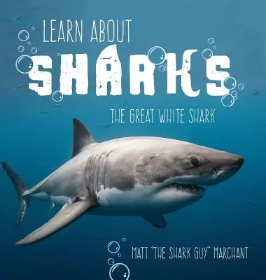 Lernen Sie über Haie: Der Weiße Hai - Learn About Sharks: The Great White Shark