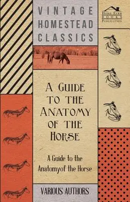Ein Leitfaden für die Anatomie des Pferdes - Eine Sammlung historischer Artikel über Skelett, Hufe, Zähne, Fortbewegung und andere Aspekte der Pferdeanatomie - A Guide to the Anatomy of the Horse - A Collection of Historical Articles on the Skeleton, Hoof, Teeth, Locomotion and Other Aspects of Equine Anato