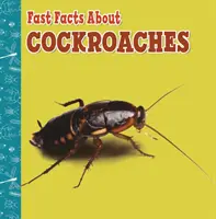 Schnelle Fakten über Kakerlaken - Fast Facts About Cockroaches