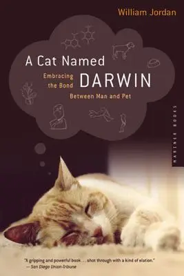 Eine Katze namens Darwin: Die Bindung zwischen Mensch und Haustier - A Cat Named Darwin: Embracing the Bond Between Man and Pet