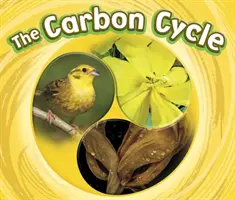 Kohlenstoffkreislauf - Carbon Cycle
