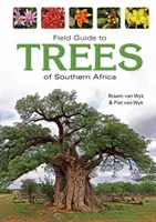 Feldführer zu Bäumen im südlichen Afrika - Field Guide to Trees of Southern Africa