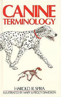 Terminologie des Hundes - Canine Terminology