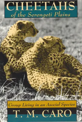 Geparden in den Serengeti-Ebenen: Gruppenleben bei einer asozialen Spezies - Cheetahs of the Serengeti Plains: Group Living in an Asocial Species