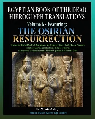 Ägyptisches Totenbuch Hieroglyphenübersetzungen Band 6 mit der Osirischen Auferstehung - Egyptian Book of the Dead Hieroglyph Translations Volume 6 Featuring The Osirian Resurrection