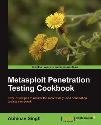 Metasploit Kochbuch für Penetrationstests - Metasploit Penetration Testing Cookbook