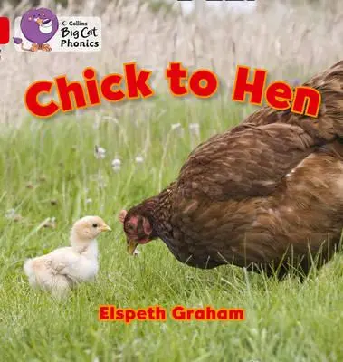 Küken zu Henne - Chick to Hen