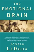 Emotionales Gehirn - Emotional Brain