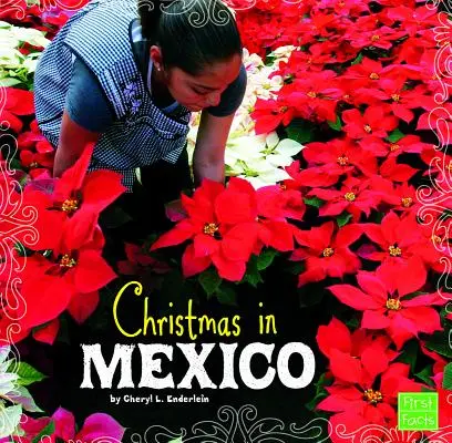 Weihnachten in Mexiko - Christmas in Mexico