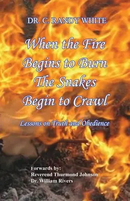 Wenn das Feuer zu brennen beginnt, fangen die Schlangen an zu krabbeln - When the Fire Begins to Burn the Snakes Begin to Crawl