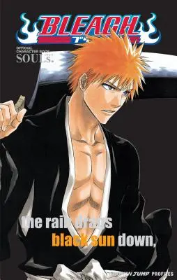 Bleach: Seelen. Offizielles Charakterbuch [Mit Aufklebern] - Bleach: Souls. Official Character Book [With Stickers]