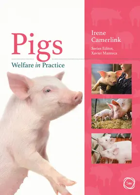 Tierschutz bei Schweinen in der Praxis - Pigs Welfare in Practice