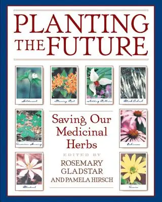 Die Zukunft pflanzen: Rettung unserer Heilkräuter - Planting the Future: Saving Our Medicinal Herbs