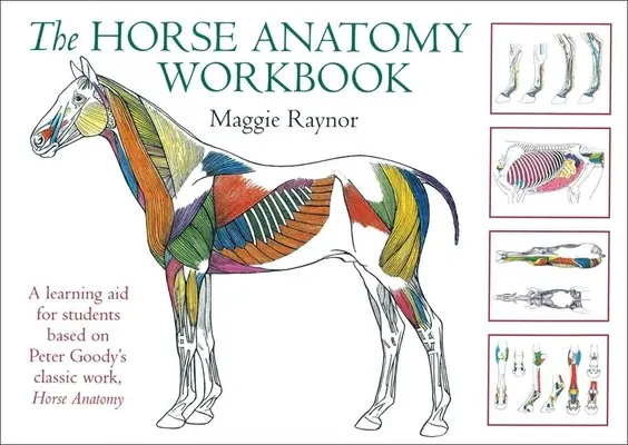 Das Arbeitsbuch zur Pferdeanatomie: Eine Lernhilfe für Studenten, basierend auf Peter Goody's klassischem Werk, Horse Anatomy - The Horse Anatomy Workbook: A Learning Aid for Students Based on Peter Goody's Classic Work, Horse Anatomy