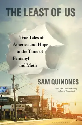 The Least of Us: Wahre Geschichten über Amerika und Hoffnung in der Zeit von Fentanyl und Meth - The Least of Us: True Tales of America and Hope in the Time of Fentanyl and Meth