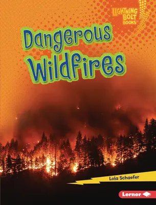 Gefährliche Waldbrände - Dangerous Wildfires