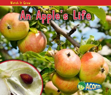 Das Leben eines Apfels - An Apple's Life