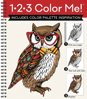 1-2-3 Color Me! (Malbuch für Erwachsene mit einer Vielzahl von Bildern - Eulen-Cover) - 1-2-3 Color Me! (Adult Coloring Book with a Variety of Images - Owl Cover)