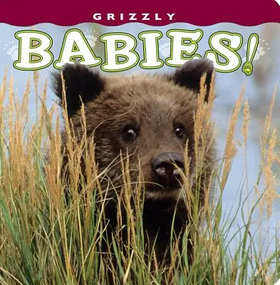 Grizzly-Babys! - Grizzly Babies!