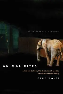 Tierische Riten: Amerikanische Kultur, der Diskurs der Arten und posthumanistische Theorie - Animal Rites: American Culture, the Discourse of Species, and Posthumanist Theory