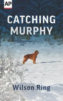 Die Ergreifung Murphys - Catching Murphy