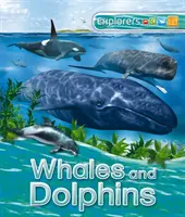 Entdecker: Wale und Delfine - Explorers: Whales and Dolphins