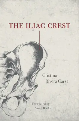 Das Iliac Crest - The Iliac Crest