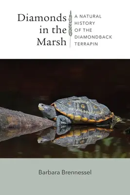 Diamanten im Sumpf: Eine Naturgeschichte der Diamantschildkröte - Diamonds in the Marsh: A Natural History of the Diamondback Terrapin