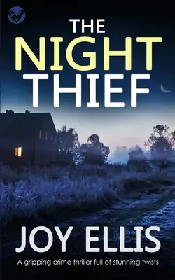 THE NIGHT THIEF ein spannender Krimi voller verblüffender Wendungen - THE NIGHT THIEF a gripping crime thriller full of stunning twists