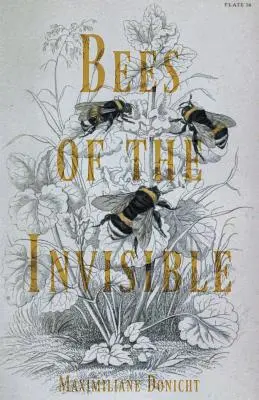 Bienen des Unsichtbaren - Bees of the Invisible