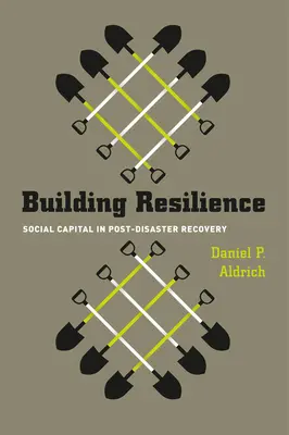 Resilienz aufbauen: Soziales Kapital im Wiederaufbau nach Katastrophen - Building Resilience: Social Capital in Post-Disaster Recovery