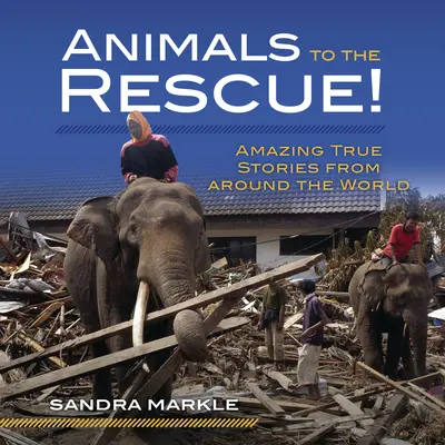 Tiere in Not!: Erstaunliche wahre Geschichten aus aller Welt - Animals to the Rescue!: Amazing True Stories from Around the World