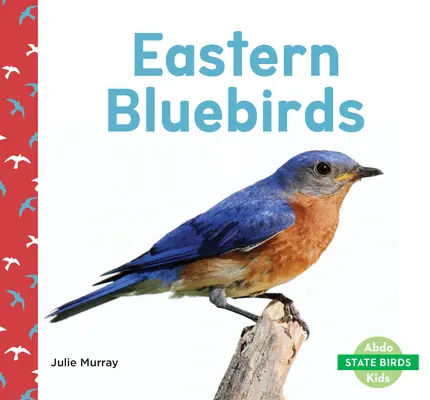 Östliche Blaubrustvögel - Eastern Bluebirds