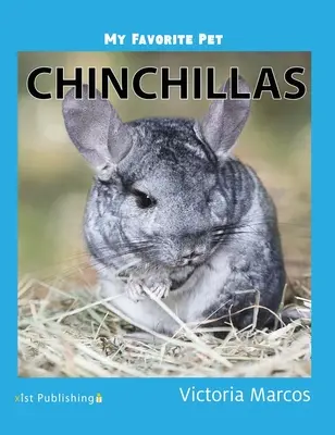 Mein Lieblingstier: Chinchillas - My Favorite Pet: Chinchillas