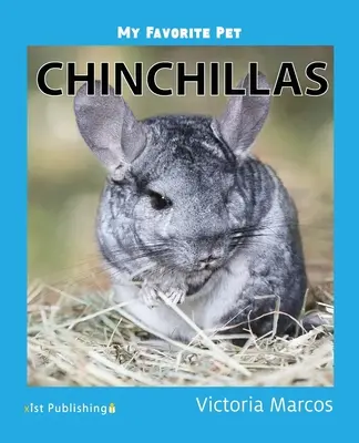 Mein liebstes Haustier: Chinchillas - My Favorite Pet: Chinchillas